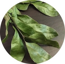 NTGのプレスリリース画像3