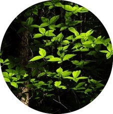 NTGのプレスリリース画像4