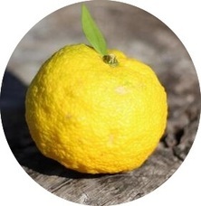 NTGのプレスリリース画像1