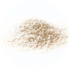 NTGのプレスリリース画像5