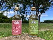 NTGのプレスリリース画像4