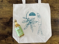 NTGのプレスリリース画像3