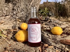 NO S.E.N.C.Eのプレスリリース画像1