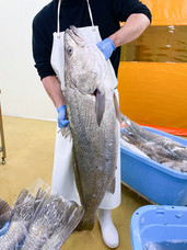 株式会社歌行燈のプレスリリース画像4