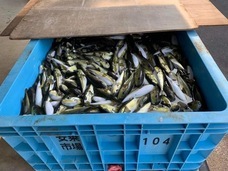 株式会社歌行燈のプレスリリース画像2