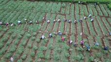 金門灣株式会社のプレスリリース画像3