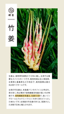 金門灣株式会社のプレスリリース画像1