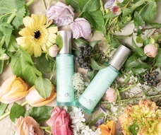 株式会社ミラミュープロのプレスリリース画像6