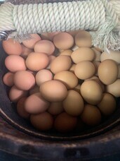 株式会社弟子屈町振興公社のプレスリリース画像3