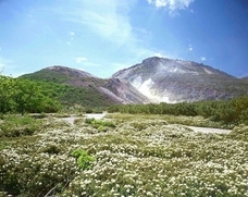 株式会社弟子屈町振興公社のプレスリリース画像3