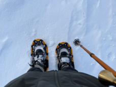 株式会社弟子屈町振興公社のプレスリリース画像5