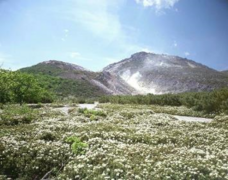 株式会社弟子屈町振興公社のプレスリリース画像2