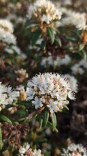 株式会社弟子屈町振興公社のプレスリリース画像1