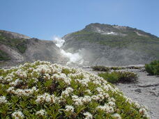 株式会社弟子屈町振興公社のプレスリリース画像3