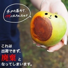 食品ロス削減で農家さんを応援するフルーツサンドカフェ sole/ソーレのプレスリリース画像11