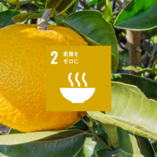 食品ロス削減で農家さんを応援するフルーツサンドカフェ sole/ソーレのプレスリリース画像4