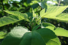 VOLバイシクルプラスワン株式会社のプレスリリース画像2