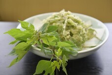 VOLバイシクルプラスワン株式会社のプレスリリース画像3