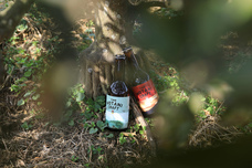 株式会社カンパイカンパニーのプレスリリース画像1