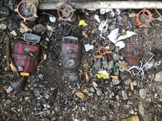 株式会社ネオスのプレスリリース画像1