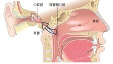 国立研究開発法人 国立国際医療研究センター AMR臨床リファレンスセンターのプレスリリース画像3