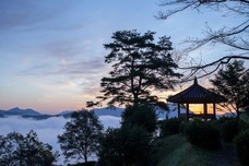 みさとの森活性化協議会のプレスリリース画像5