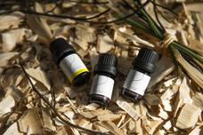 みさとの森活性化協議会のプレスリリース画像3