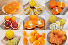 森田セイカ店のプレスリリース画像4