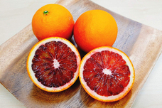 森田セイカ店のプレスリリース画像14