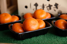 森田セイカ店のプレスリリース画像9