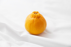 森田セイカ店のプレスリリース画像8