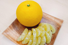 森田セイカ店のプレスリリース画像12