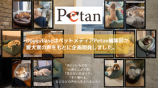 株式会社totonouのプレスリリース画像1