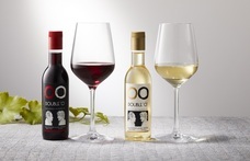 株式会社JALUXのプレスリリース画像1