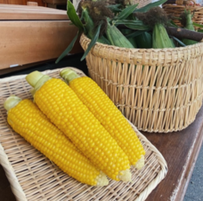 株式会社JALUXのプレスリリース画像3