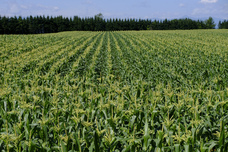 株式会社JALUXのプレスリリース画像2