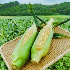 株式会社JALUXのプレスリリース画像2