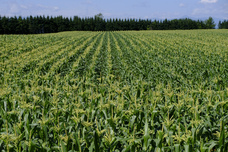 株式会社JALUXのプレスリリース画像1