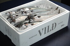 株式会社JALUXのプレスリリース画像6