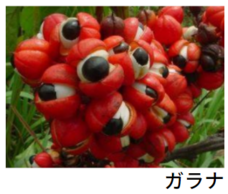 株式会社プリマベーラのプレスリリース画像11