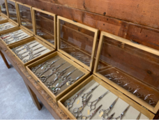 株式会社プリマベーラのプレスリリース画像4