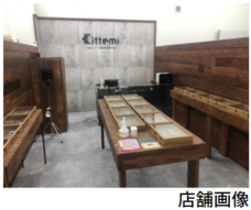 株式会社プリマベーラのプレスリリース画像5