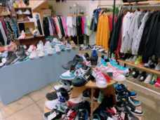 株式会社プリマベーラのプレスリリース画像3