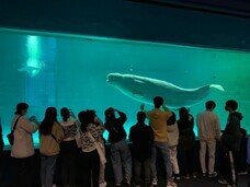 株式会社And Natureのプレスリリース画像7