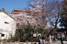 柿木畠振興会のプレスリリース画像1