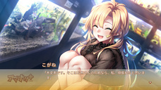 iMel株式会社のプレスリリース画像12