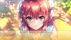 iMel株式会社のプレスリリース画像13