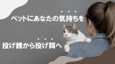 プロてんのプレスリリース画像1