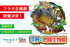 株式会社アクア・ライブ・インベストメントのプレスリリース画像3