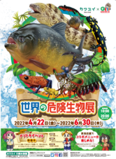 株式会社アクア・ライブ・インベストメントのプレスリリース画像3